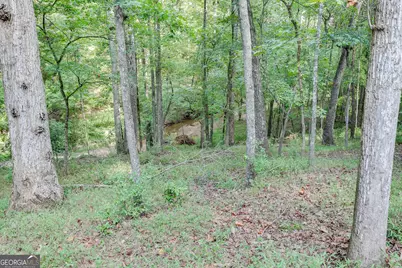 1340 Calls Creek Circle, Watkinsville, GA 30667 - Photo 51