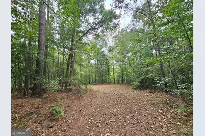 Lot 1 Gregg Shoals Drive, Elberton, GA 30635 - Photo 7