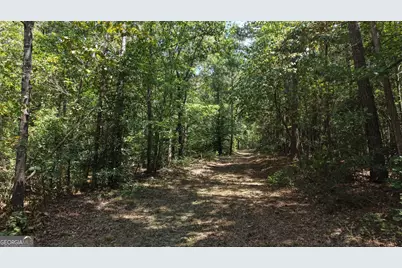 Lot 1 Gregg Shoals Drive, Elberton, GA 30635 - Photo 5