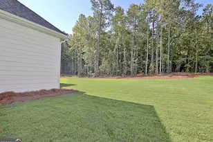 176 Ryeland Dr, Senoia, GA 30276 - Photo 79
