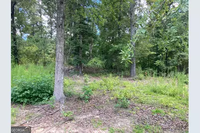 0 Stark Road, Jackson, GA 30233 - Photo 5