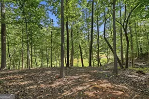 1 Pine Needle Trail, Martin, GA 30557 - Photo 29