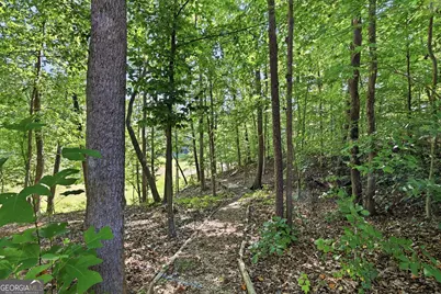 1 Pine Needle Trail, Martin, GA 30557 - Photo 27