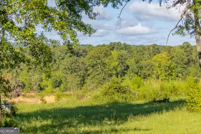 655 White Road, Thomaston, GA 30286 - Photo 15