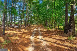 222 Lexington-Carlton Rd, Lexington, GA 30648 - Photo 35