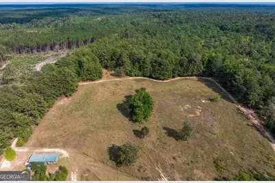 222 Lexington Carlton Road, Lexington, GA 30648 - Photo 37