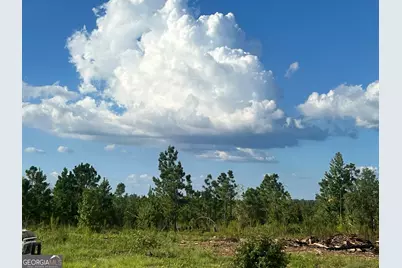 695 Four Acre Road, Vidalia, GA 30474 - Photo 21