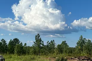 695 4 Acre Rd, Vidalia, GA 30474 - Photo 21