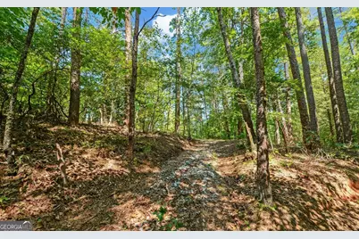 3014 Prather Bridge Road, Toccoa, GA 30577 - Photo 49