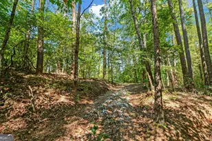 3014 Prather Bridge Rd, Toccoa, GA 30577 - Photo 49
