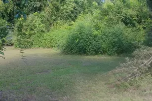 2005 Thairdell Rd, Rockledge, GA 30454 - Photo 9