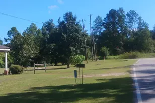 2005 Thairdell Rd, Rockledge, GA 30454 - Photo 55