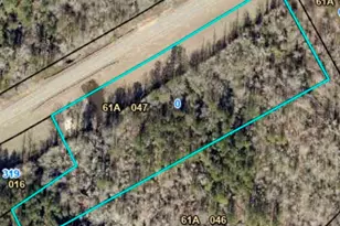 0 US Hwy 319 N, Kite, GA 31049 - Photo 1