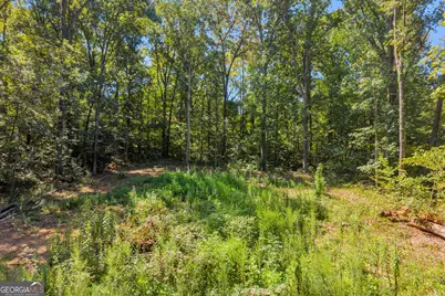 0 Ridgeview Court, Lavonia, GA 30553 - Photo 19