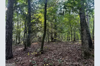 2807 Cedar Creek Road, Elberton, GA 30635 - Photo 5