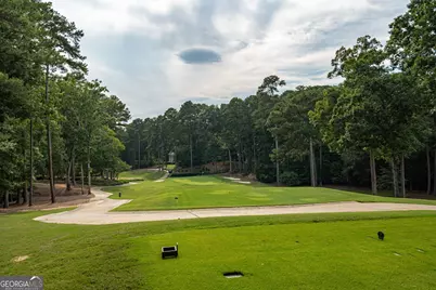 1061-1071 Scull Shoals Dr, Greensboro, GA 30642 - Photo 65