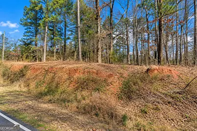 1.04 Acres Willow Lake Road, Fort Valley, GA 31030 - Photo 7