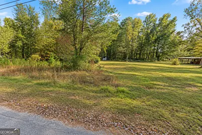.46 Acre Zerbee Lane, Waynesboro, GA 30830 - Photo 5