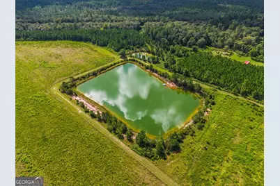 7919 Hwy 84 E, Patterson, GA 31557 - Photo 67