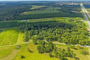 7919 Hwy 84 E, Patterson, GA 31557 - Photo 69