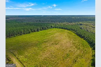 7919 Hwy 84 E, Patterson, GA 31557 - Photo 63