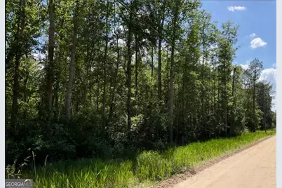 485 James Knight Road, Jesup, GA 31545 - Photo 1