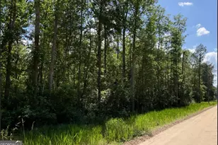 485 James Knight Rd, Jesup, GA 31545 - Photo 1