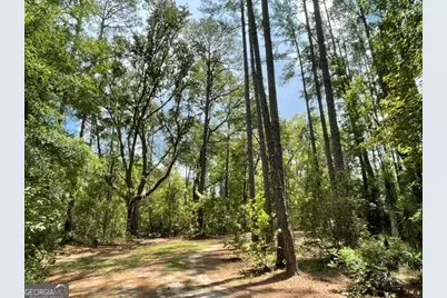 14155 Mud Road, Brooklet, GA 30415 - Photo 57