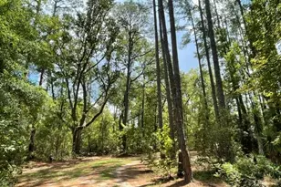 14155 Mud Rd, Brooklet, GA 30415 - Photo 57