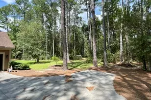 14155 Mud Rd, Brooklet, GA 30415 - Photo 53