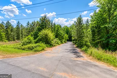 2.4 Acres Flamingo Estate, Hawkinsville, GA 31036 - Photo 7