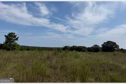 005 Long Branch Road, Toomsboro, GA 31090 - Photo 11