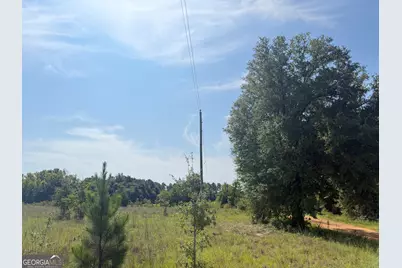 005 Long Branch Road, Toomsboro, GA 31090 - Photo 3