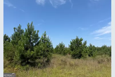 005 Long Branch Road, Toomsboro, GA 31090 - Photo 13