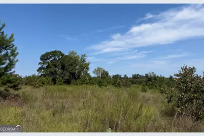 005 Long Branch Road, Toomsboro, GA 31090 - Photo 9