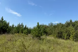 005 Long Branch Rd, Toomsboro, GA 31090 - Photo 1