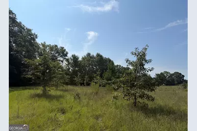 005 Long Branch Road, Toomsboro, GA 31090 - Photo 15