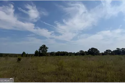 005 Long Branch Road, Toomsboro, GA 31090 - Photo 5
