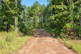 818 Rock Quarry Rd, Yatesville, GA 31097 - Photo 1
