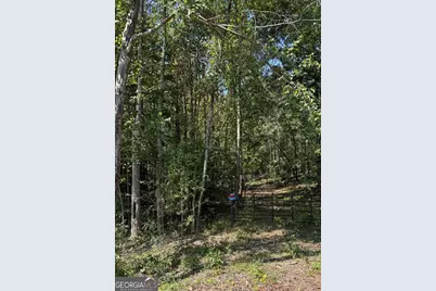 0 Highway 92 & 166, Douglasville, GA 30135 - Photo 1