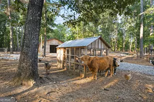 513 Bankstown Rd, Brooks, GA 30205 - Photo 51