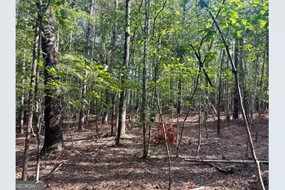 0 Tract B Cool Springs Road, Winston, GA 30187 - Photo 15