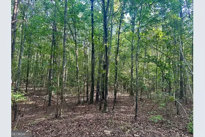 0 Tract A Cool Springs Road, Winston, GA 30187 - Photo 13