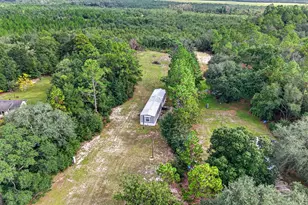 901 Joy Bluff Rd, Reidsville, GA 30453 - Photo 11