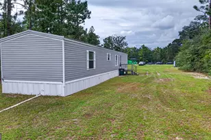 901 Joy Bluff Rd, Reidsville, GA 30453 - Photo 9