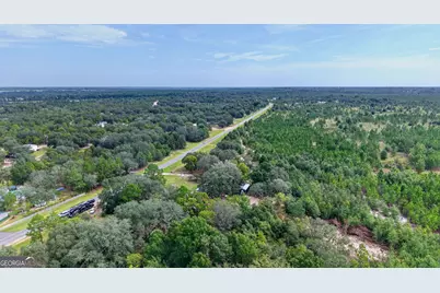 901 Joy Bluff Road, Reidsville, GA 30453 - Photo 5