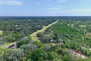 901 Joy Bluff Rd, Reidsville, GA 30453 - Photo 5
