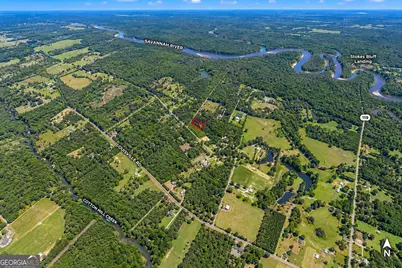 1.5 Acres Mt Pleasant Road, Clyo, GA 31303 - Photo 3