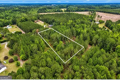 1.5 Acres Mt Pleasant Road, Clyo, GA 31303 - Photo 5