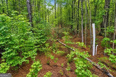 1.5 Acres Mt Pleasant Road, Clyo, GA 31303 - Photo 9